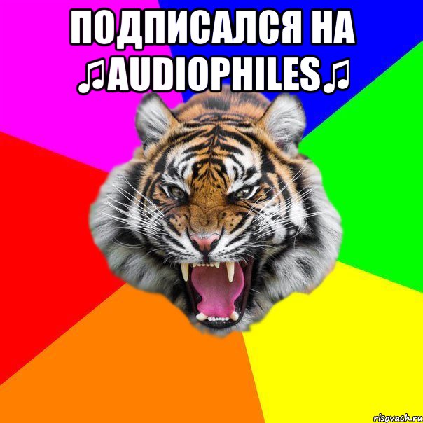 Подписался На ♫Audiophiles♫ 