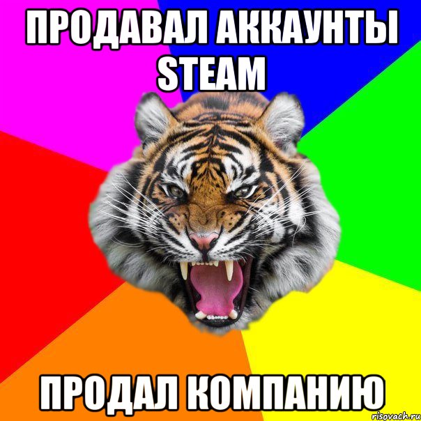 Продавал аккаунты steam Продал компанию, Мем  ДЕРЗКИЙ ТИГР