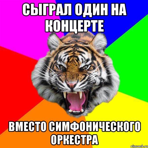 Сыграл один на концерте Вместо симфонического оркестра, Мем  ДЕРЗКИЙ ТИГР