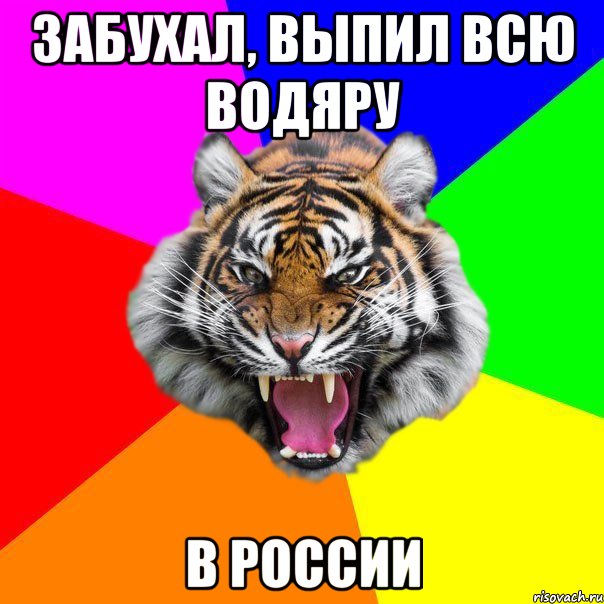 забухал, выпил всю водяру в россии