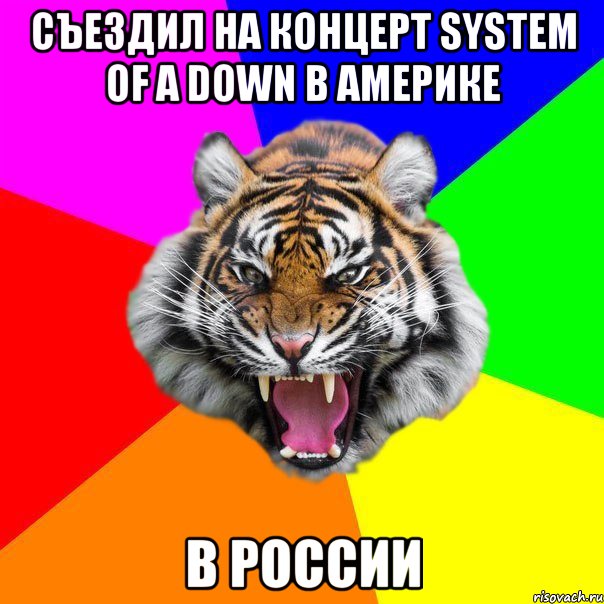 Съездил на концерт System Of A Down В Америке В России, Мем  ДЕРЗКИЙ ТИГР