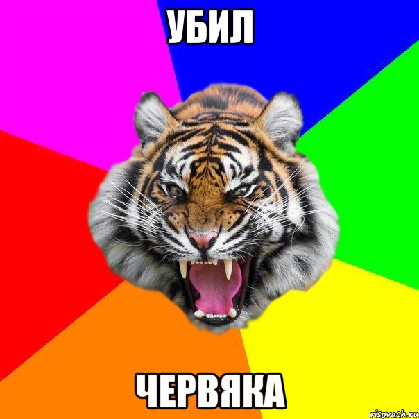 УБИЛ ЧЕРВЯКА, Мем  ДЕРЗКИЙ ТИГР