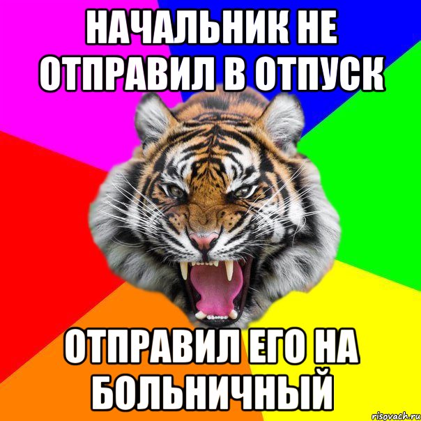 НАЧАЛЬНИК НЕ ОТПРАВИЛ В ОТПУСК ОТПРАВИЛ ЕГО НА БОЛЬНИЧНЫЙ, Мем  ДЕРЗКИЙ ТИГР