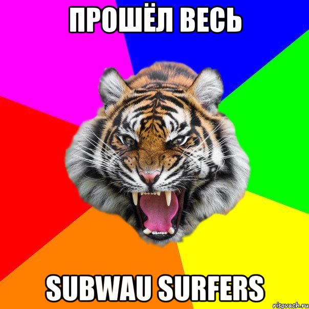 прошёл весь subwau surfers