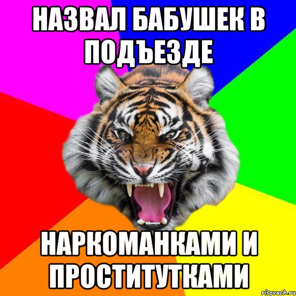 назвал бабушек в подъезде наркоманками и проститутками, Мем  ДЕРЗКИЙ ТИГР