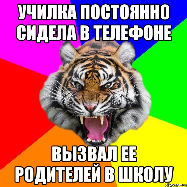 Училка постоянно сидела в телефоне Вызвал ее родителей в школу, Мем  ДЕРЗКИЙ ТИГР