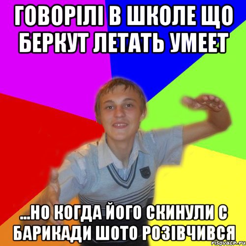 говорілі в школе що беркут летать умеет ...но когда його скинули с барикади шото розівчився, Мем дк