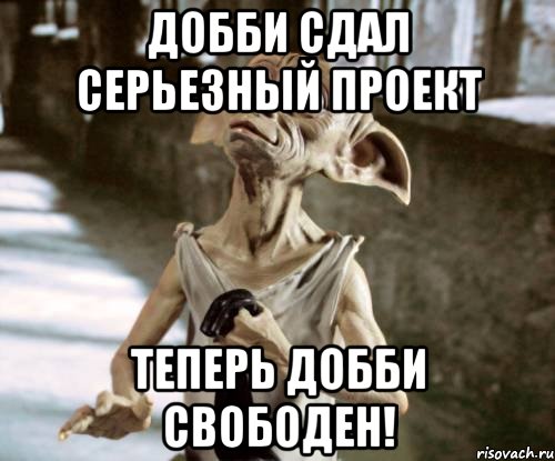 Добби сдал серьезный проект теперь Добби свободен!