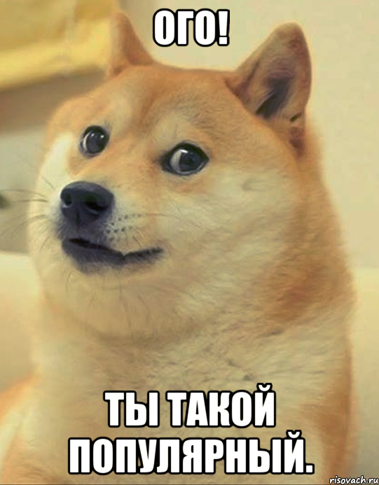 Ого! Ты такой популярный., Мем doge woof