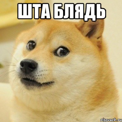 ШТА БЛЯДЬ , Мем doge woof