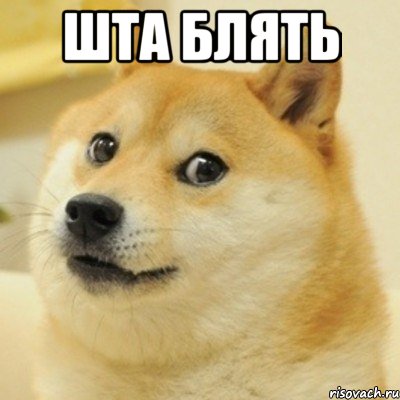 ШТА БЛЯТЬ , Мем doge woof