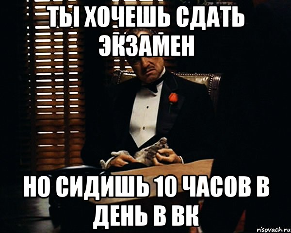 Ты хочешь сдать экзамен Но сидишь 10 часов в день в ВК, Мем Дон Вито Корлеоне