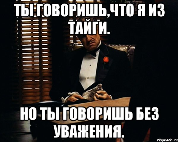 Ты говоришь,что я из Тайги. Но ты говоришь без уважения., Мем Дон Вито Корлеоне