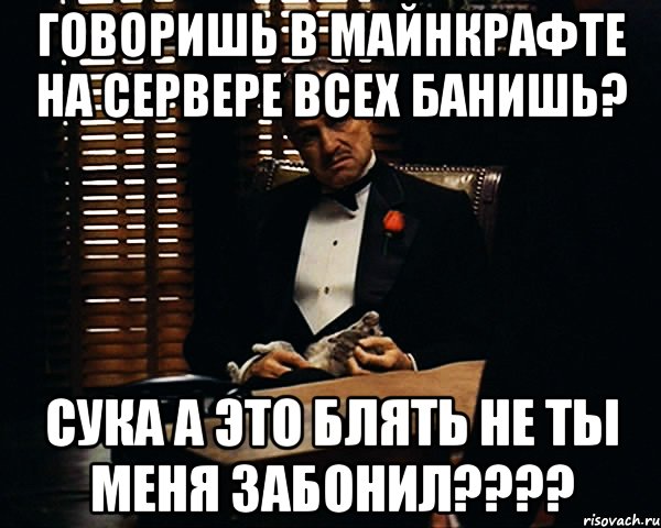 говоришь в майнкрафте на сервере всех банишь? сука а это блять не ты меня забонил????, Мем Дон Вито Корлеоне