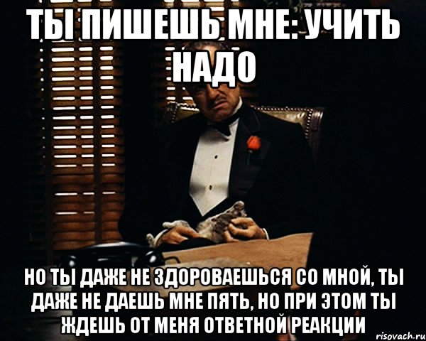 Ты пишешь мне: Учить надо Но ты даже не здороваешься со мной, ты даже не даешь мне пять, но при этом ты ждешь от меня ответной реакции, Мем Дон Вито Корлеоне