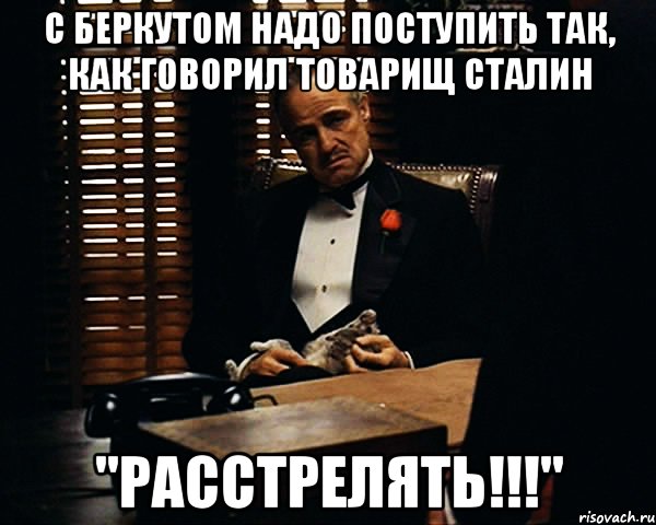 с беркутом надо поступить так, как говорил товарищ Сталин "РАССТРЕЛЯТЬ!!!", Мем Дон Вито Корлеоне