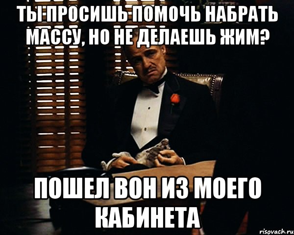 ты просишь помочь набрать мАСсУ, но не делаешь жим? пошел вон из моего кабинета, Мем Дон Вито Корлеоне