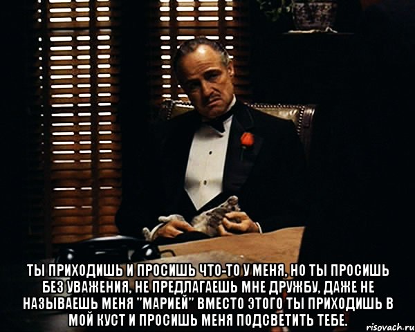  ты приходишь и просишь что-то у меня, но ты просишь без уважения, не предлагаешь мне дружбу, даже не называешь меня "Марией" вместо этого ты приходишь в мой куст и просишь меня подсветить тебе., Мем Дон Вито Корлеоне