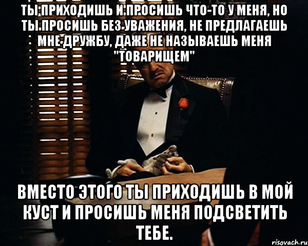 ты приходишь и просишь что-то у меня, но ты просишь без уважения, не предлагаешь мне дружбу, даже не называешь меня "Товарищем" вместо этого ты приходишь в мой куст и просишь меня подсветить тебе., Мем Дон Вито Корлеоне