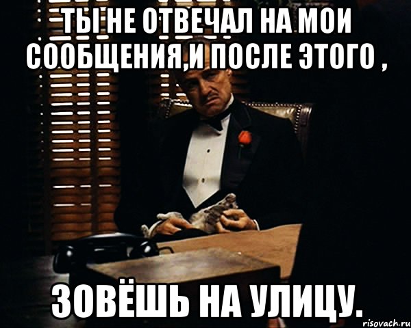 Ты не отвечал на мои сообщения,и после этого , Зовёшь на улицу., Мем Дон Вито Корлеоне