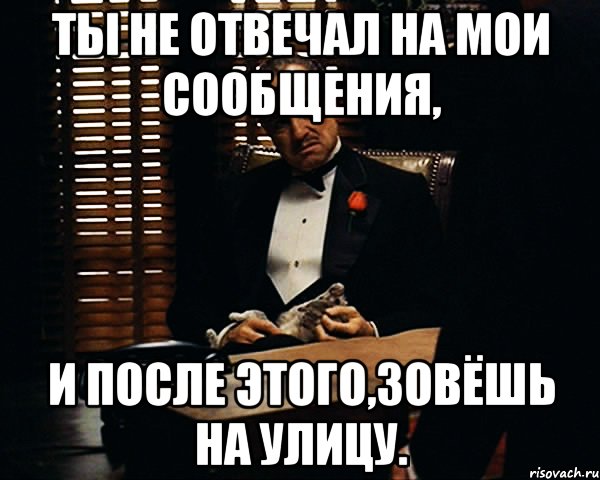 Ты не отвечал на мои сообщения, и после этого,зовёшь на улицу., Мем Дон Вито Корлеоне