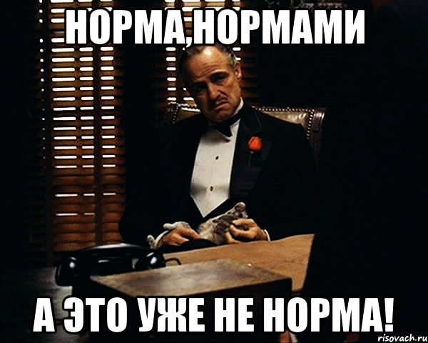 Норма,нормами А это уже не норма!, Мем Дон Вито Корлеоне