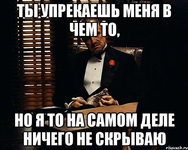 Ты упрекаешь меня в чем то, но я то на самом деле ничего не скрываю, Мем Дон Вито Корлеоне