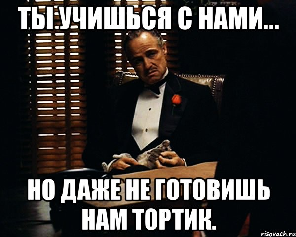Ты учишься с нами... Но даже не готовишь нам тортик., Мем Дон Вито Корлеоне