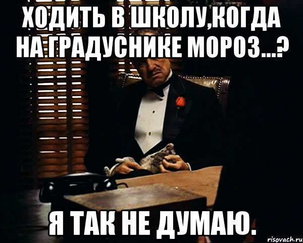 Ходить в школу,когда на градуснике мороз...? Я так не думаю., Мем Дон Вито Корлеоне