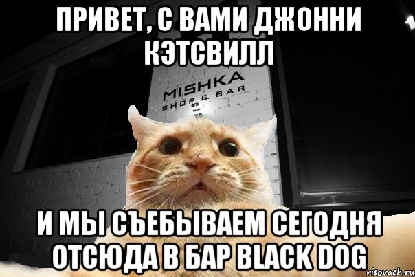 Привет, с вами Джонни Кэтсвилл И мы съебываем сегодня отсюда в бар Black Dog