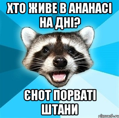 Хто живе в ананасі на дні? Єнот порваті штани