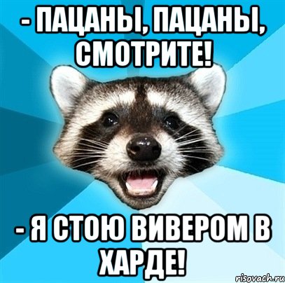 - пацаны, пацаны, смотрите! - я стою вивером в харде!, Мем Енот-Каламбурист