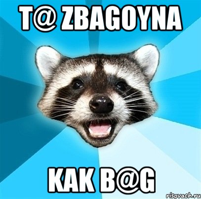 t@ zbagoyna kak b@G, Мем Енот-Каламбурист