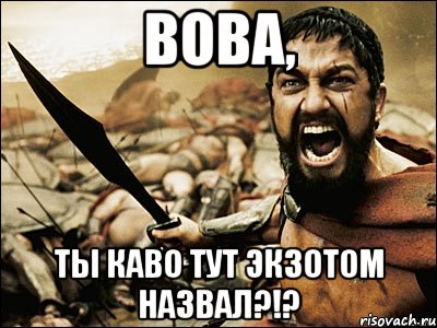 Вова, Ты каво тут экзотом назвал?!?, Мем Это Спарта