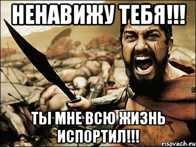 Ненавижу тебя!!! Ты мне всю жизнь испортил!!!, Мем Это Спарта