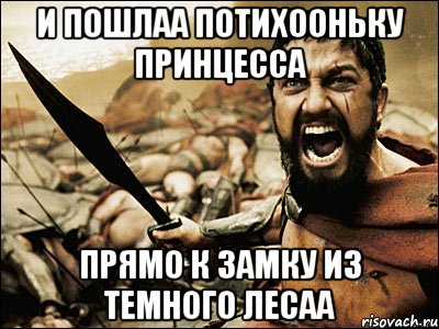 и пошлаа потихооньку принцесса прямо к замку из темного лесаа, Мем Это Спарта