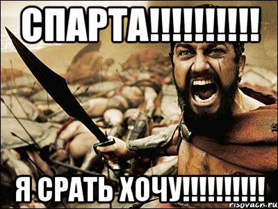 Спарта!!!!!!!!!! Я срать хочу!!!!!!!!!!, Мем Это Спарта