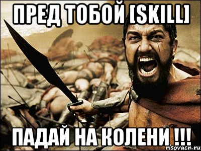 Пред тобой [Skill] Падай на колени !!!, Мем Это Спарта