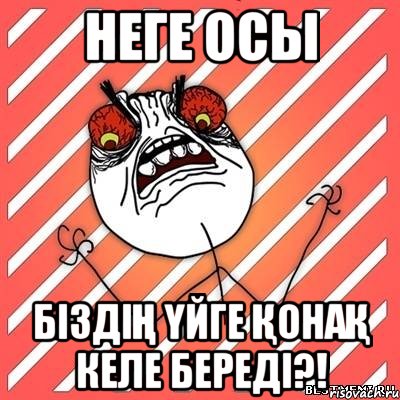 Неге осы біздің үйге қонақ келе береді?!