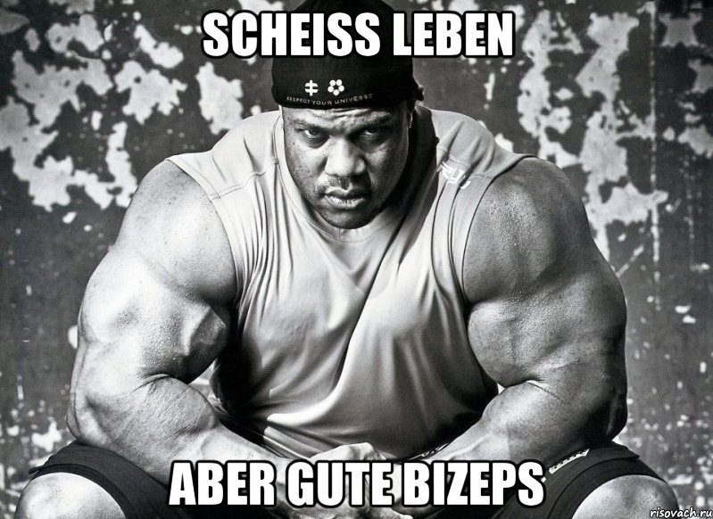 Scheiss Leben Aber gute Bizeps, Мем фил