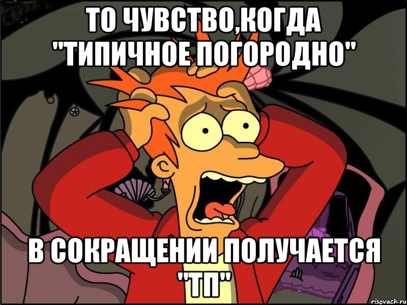 То чувство,когда "Типичное Погородно" в сокращении получается "ТП", Мем Фрай в панике