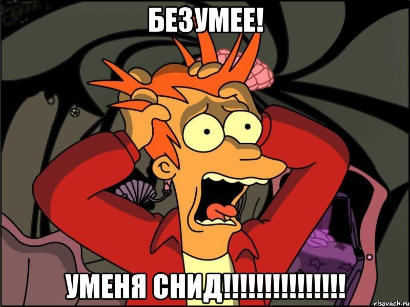 безумее! уменя снид!!!!!!!!!!!!!!!, Мем Фрай в панике