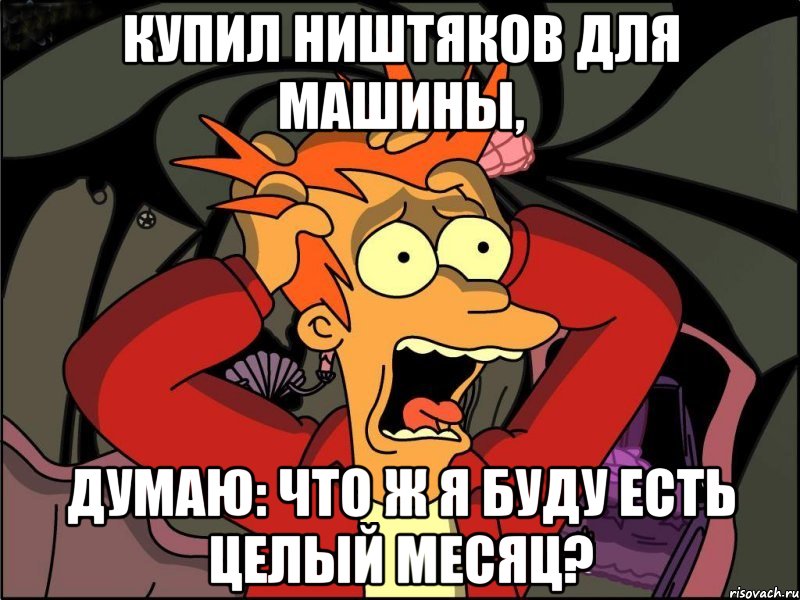 Купил ништяков для машины, думаю: что ж я буду есть целый месяц?, Мем Фрай в панике