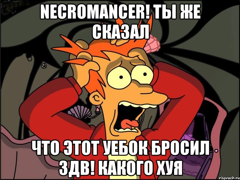 Necromancer! Ты же сказал ЧТО ЭТОТ УЕБОК БРОСИЛ ЗДВ! КАКОГО ХУЯ, Мем Фрай в панике