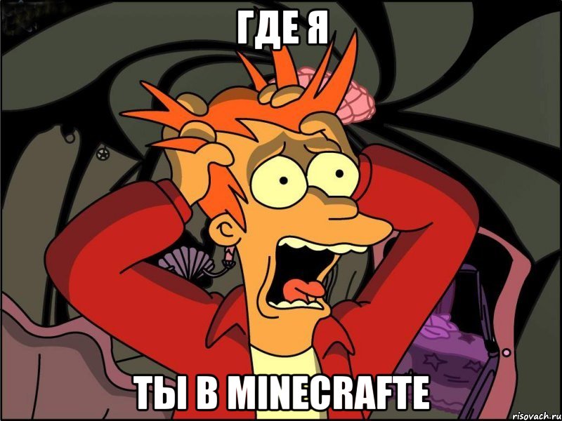 где я ты в minecrafte, Мем Фрай в панике