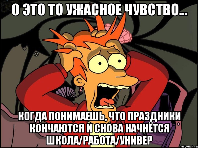 О это то ужасное чувство... Когда понимаешь, что праздники кончаются и снова начнётся школа/работа/универ, Мем Фрай в панике