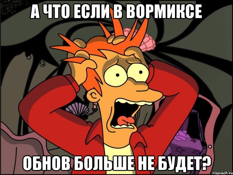 А ЧТО ЕСЛИ В ВОРМИКСЕ ОБНОВ БОЛЬШЕ НЕ БУДЕТ?, Мем Фрай в панике