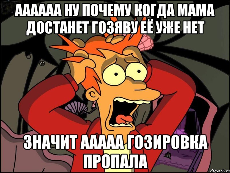 аааааа ну почему когда мама достанет гозяву её уже нет значит ааааа гозировка пропала, Мем Фрай в панике