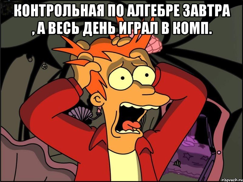 Контрольная по алгебре завтра , а весь день играл в комп. , Мем Фрай в панике