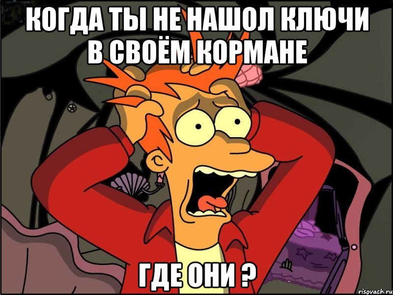 когда ты не нашол ключи в своём кормане где они ?, Мем Фрай в панике